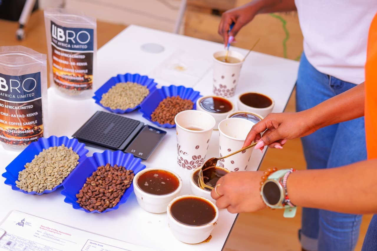 Hands breaking the coffee crust during a cupping evaluation session at the Libro East Africa lab
