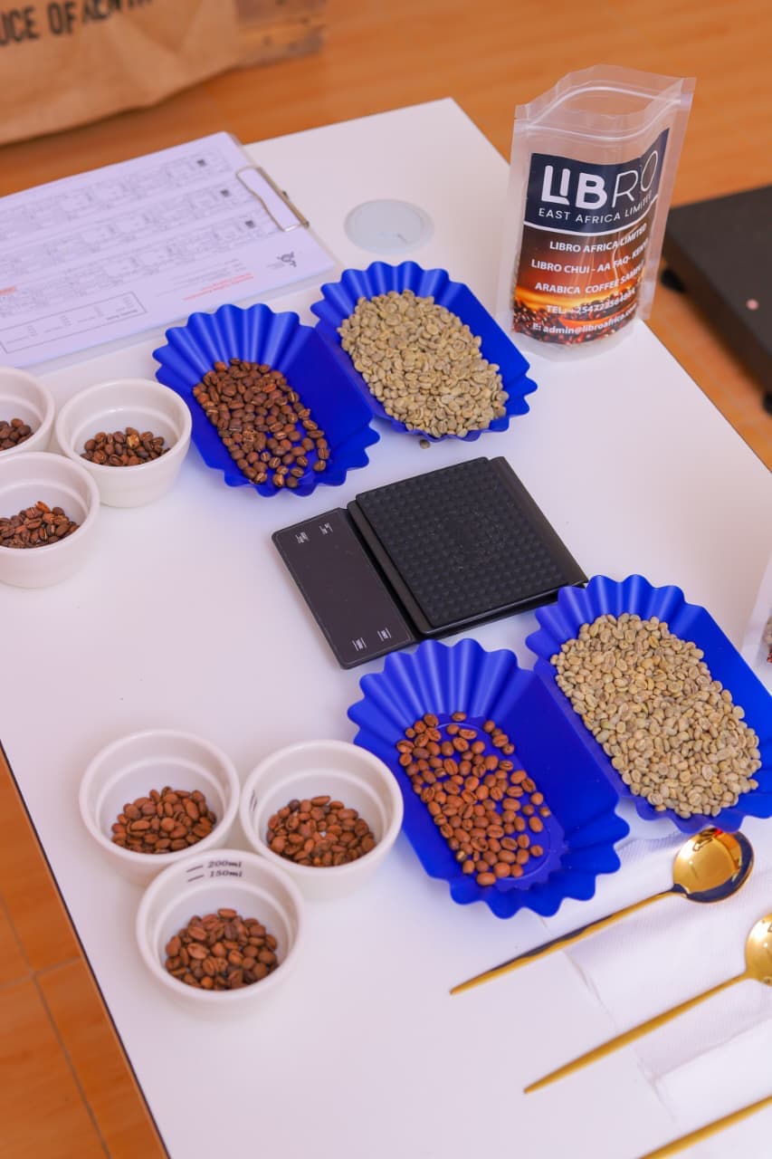 Coffee grade comparison trays showing green and roasted AA, AB, and PB grade Kenyan coffee samples