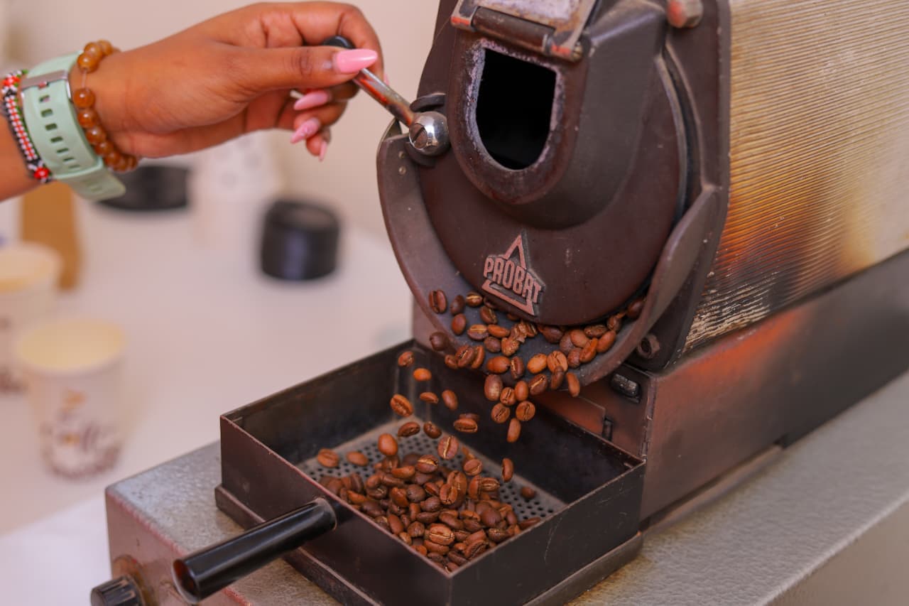 Inspecting freshly sample-roasted Kenyan Arabica coffee beans at Libro East Africa lab