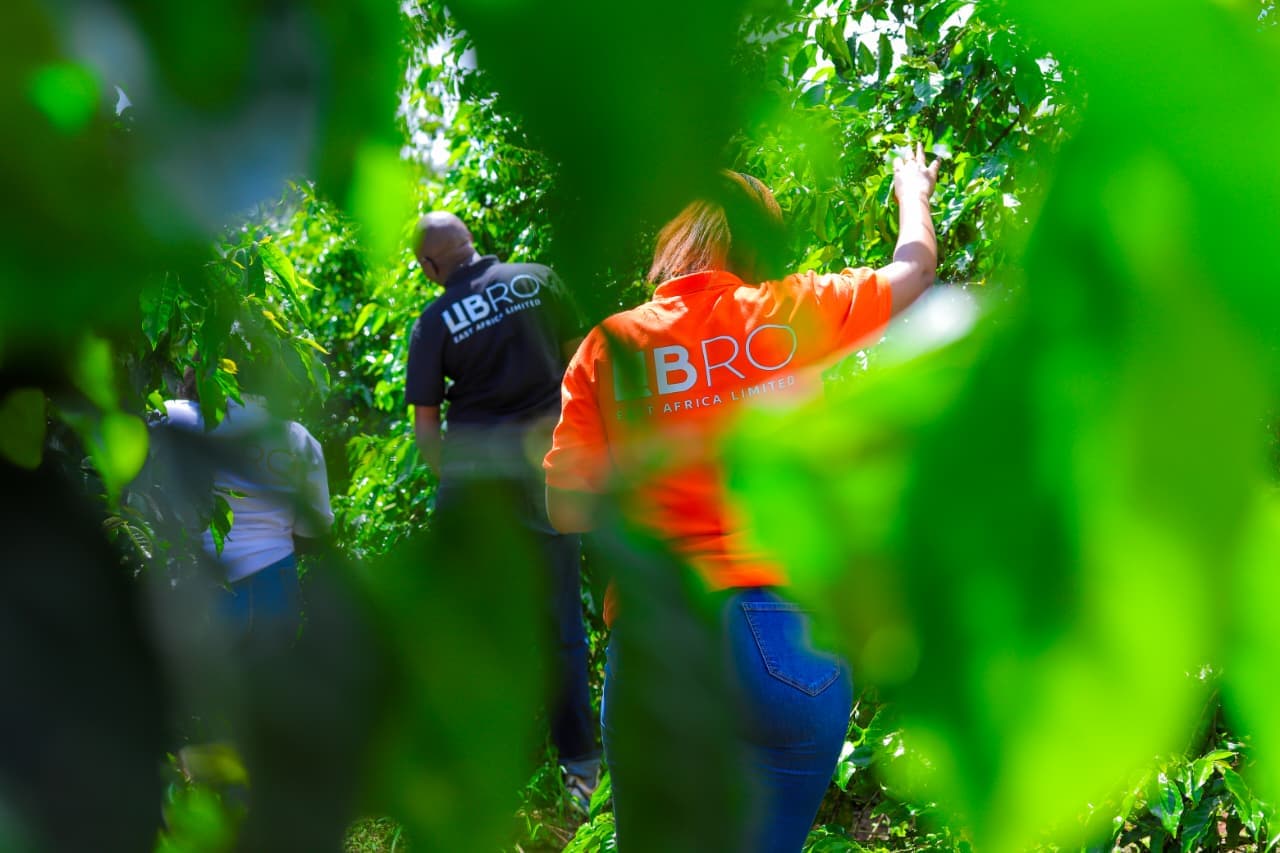 Libro East Africa team members in branded shirts walking through a Kenyan coffee plantation