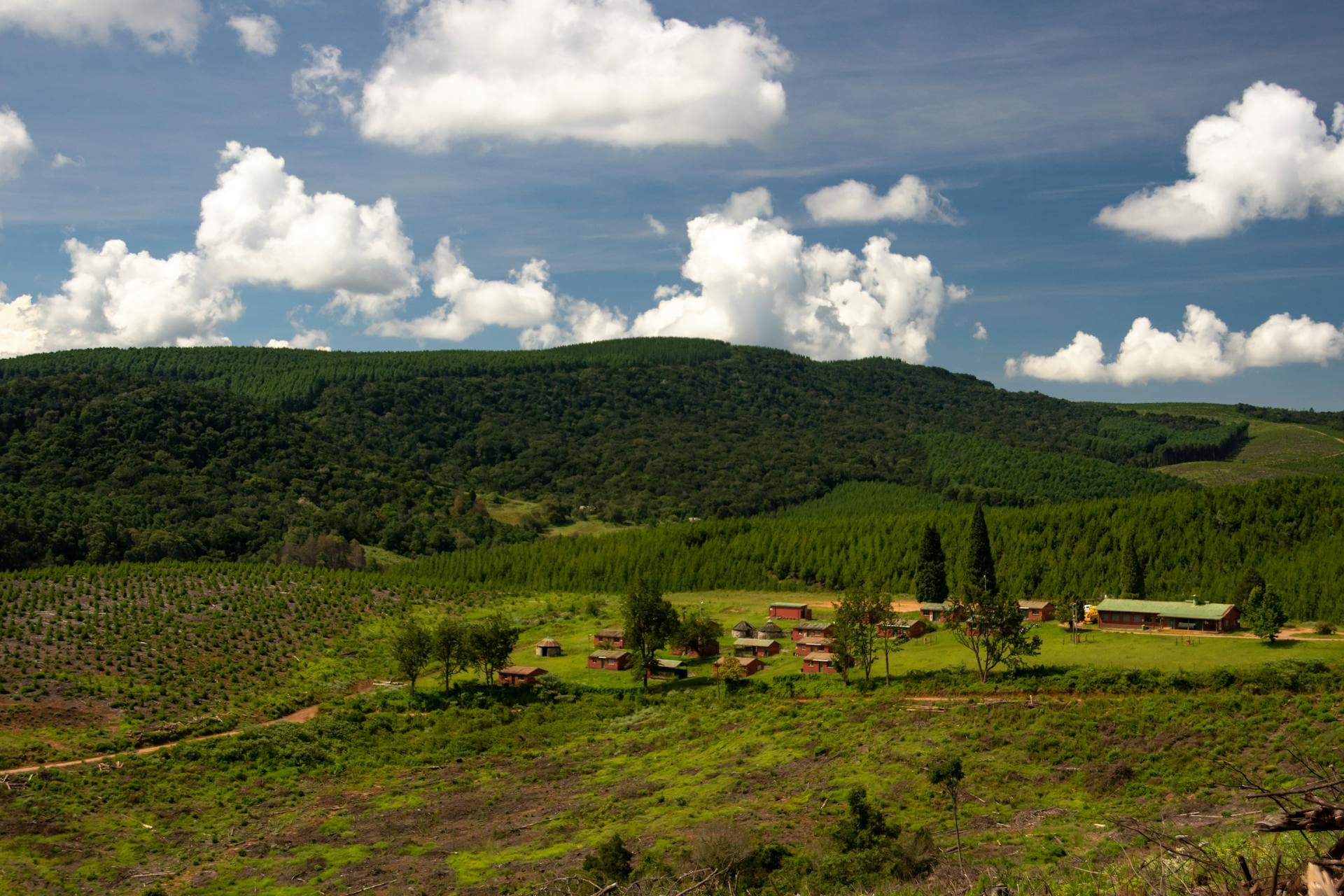 Lush green highland farmland with forest-covered hills in Kenya